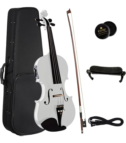 Amazon.com: Carlo giordano Electric violin EV202 (Black) : Musical